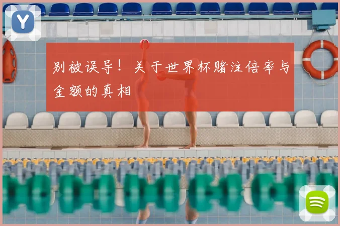 别被误导！关于世界杯赌注倍率与金额的真相