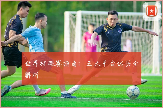 世界杯观赛指南：五大平台优劣全解析