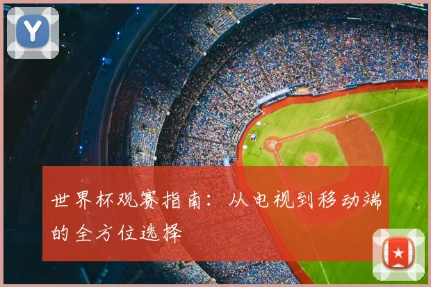 世界杯观赛指南：从电视到移动端的全方位选择