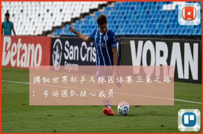 揭秘世界杯乒乓球团体赛卫冕之路：专访团队核心成员