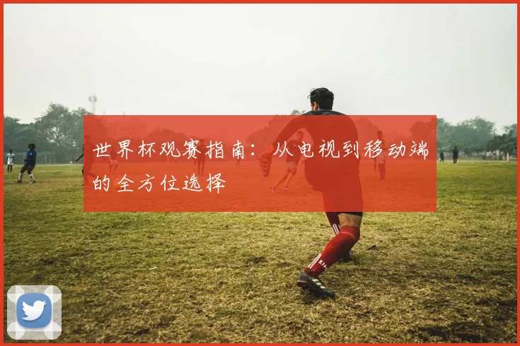 世界杯观赛指南：从电视到移动端的全方位选择