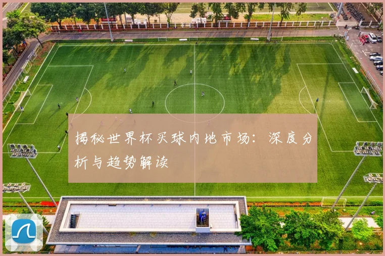 揭秘世界杯买球内地市场：深度分析与趋势解读