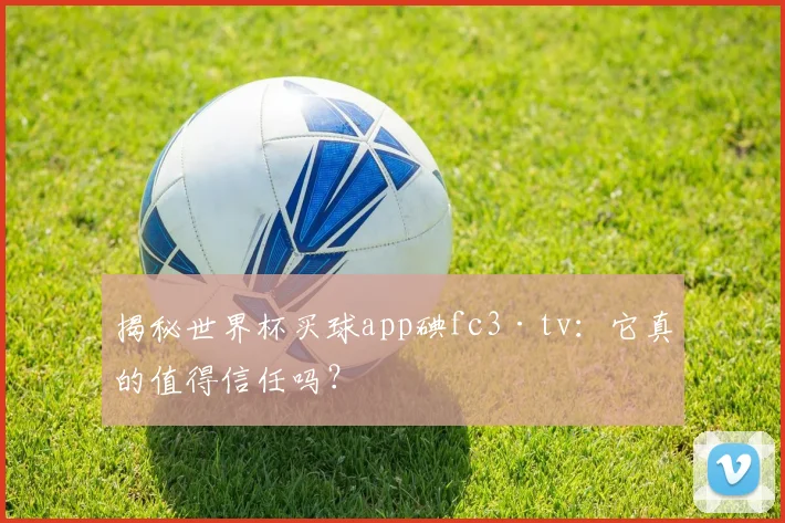 揭秘世界杯买球app碘fc3·tv：它真的值得信任吗？