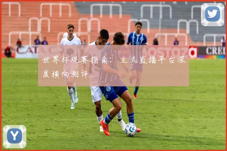 世界杯观赛指南：主流直播平台深度横向测评